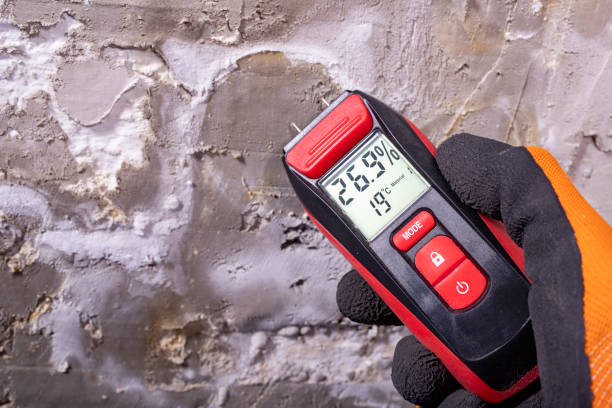 Best Professional Mold Removal  in Fairbanks, AK