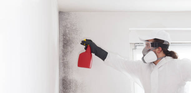 Best Crawl Space Mold Removal  in Fairbanks, AK